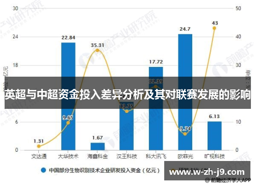 英超与中超资金投入差异分析及其对联赛发展的影响