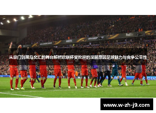 从豪门到黑马交汇的舞台解析欧联杯受欢迎的深层原因足球魅力与竞争公平性